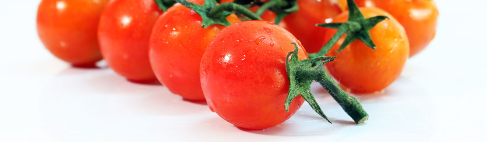 全天发货的网页在线DDOS压力测试