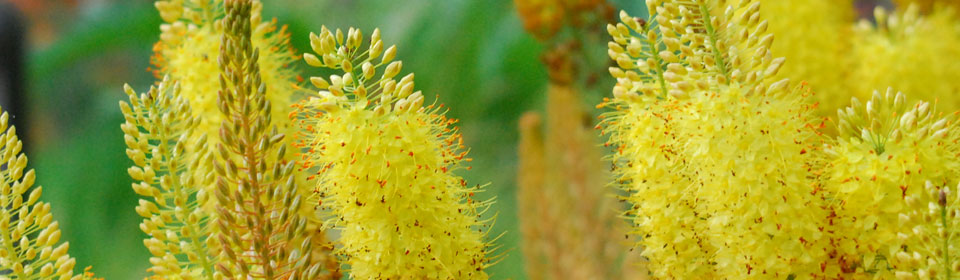 攻击网站的方法